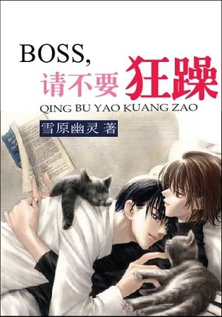 BOSS，请不要狂躁